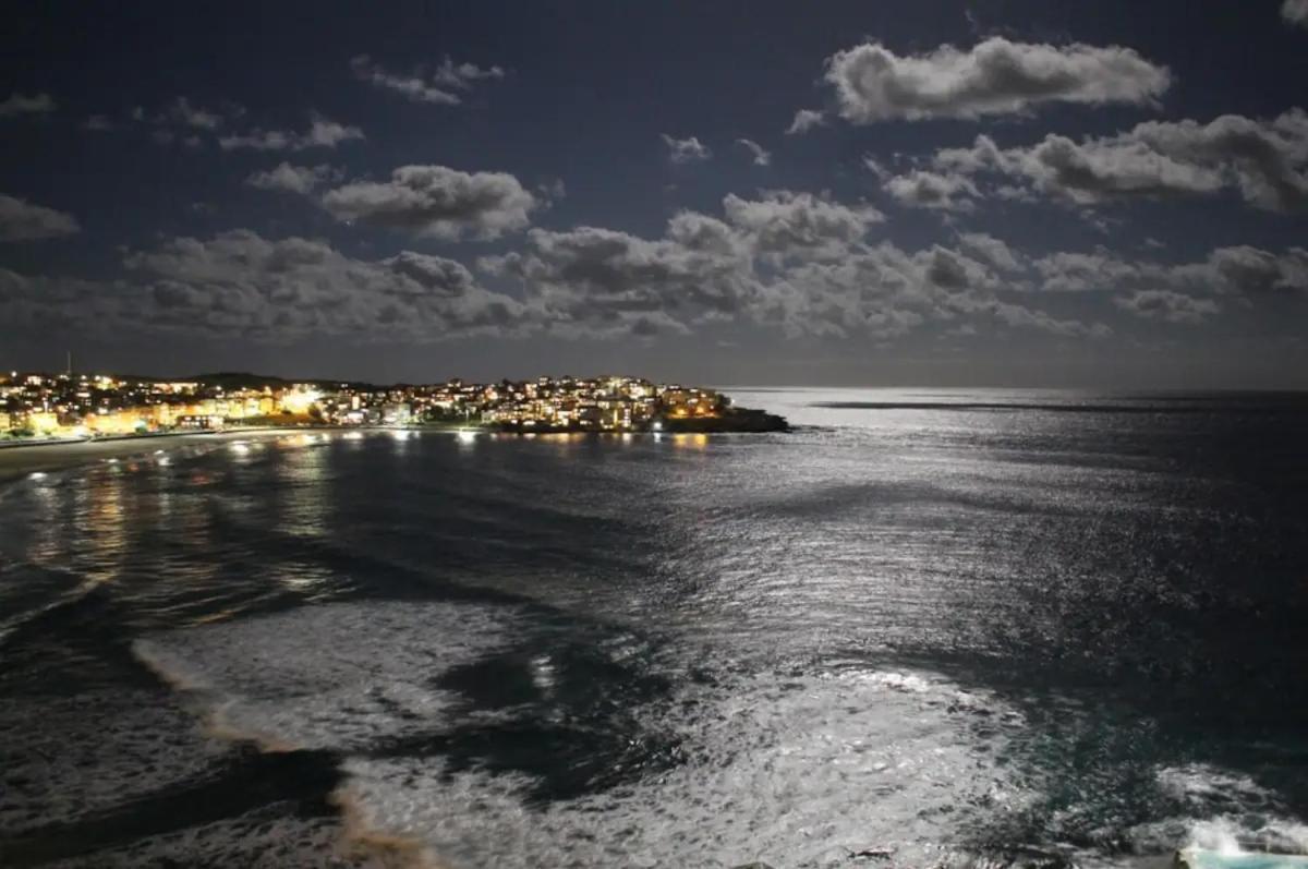 Studio Bondi Beach Сидни Екстериор снимка